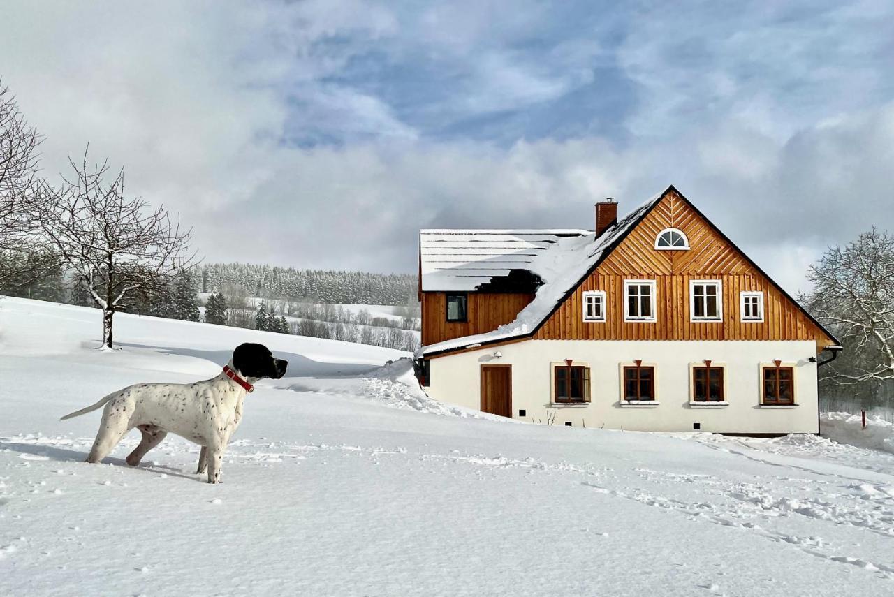 Dead Fox Chalupa Na Samote Vichova nad Jizerou ภายนอก รูปภาพ